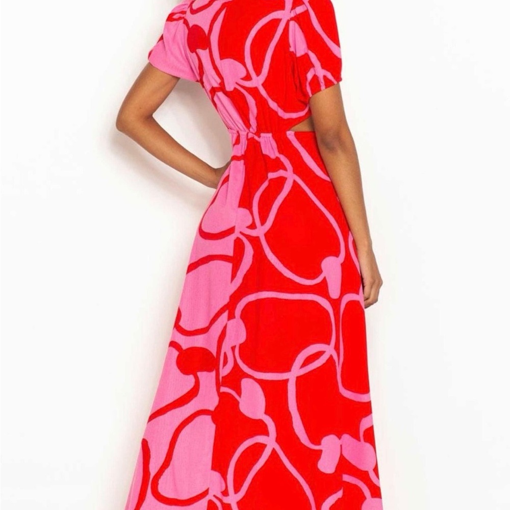 FARM Rio Red and Pink cashews Patterned Dress - Picture 7 of 10